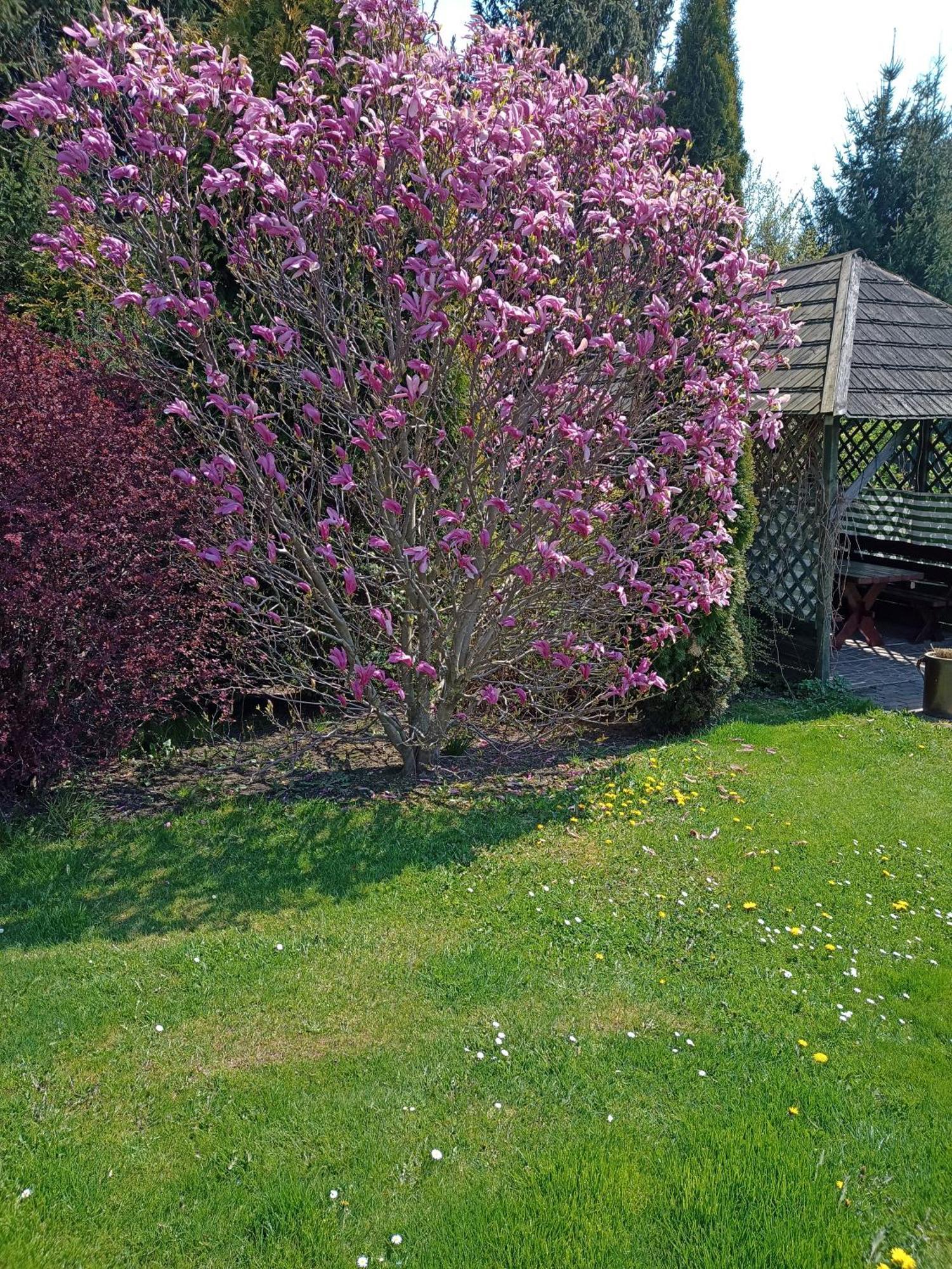 Agroturystyka Nad Strumykiem Löschney Exterior foto